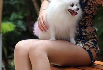 魔镜街拍 - 曼曼的在线日常，秘书的姿态真让人意外啊。